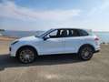 Porsche Cayenne II (2) 3.0 S E-HYBRID TIPTRONIC Wit - thumbnail 3