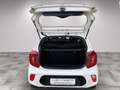 Kia Picanto Dream Team Blanco - thumbnail 7