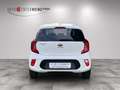 Kia Picanto Dream Team Blanco - thumbnail 6