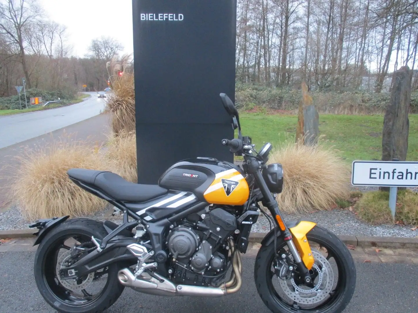 Triumph Trident 660 MY25 - SOFORT VERFÜGBAR!!! Jaune - 2