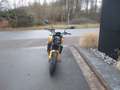 Triumph Trident 660 MY25 - SOFORT VERFÜGBAR!!! Jaune - thumbnail 4