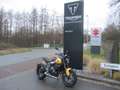 Triumph Trident 660 MY25 - SOFORT VERFÜGBAR!!! Jaune - thumbnail 1
