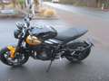 Triumph Trident 660 MY25 - SOFORT VERFÜGBAR!!! Jaune - thumbnail 6