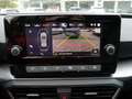 SEAT Leon Style Edition 1.0 eTSI 110PS DSG SHZ RFK Grau - thumbnail 10