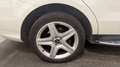 Mercedes-Benz ML 250 250 2.2 CDI 16V DPF BlueEFFICIENCY 4MATIC 7G-TRONIC+ 204 cv Boîte auto Weiß - thumbnail 29