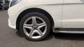 Mercedes-Benz ML 250 250 2.2 CDI 16V DPF BlueEFFICIENCY 4MATIC 7G-TRONIC+ 204 cv Boîte auto Weiß - thumbnail 28