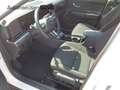 Hyundai KONA Hybrid Trend Licht-Pak. elektr. Heckklappe Blanc - thumbnail 10