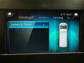Mercedes-Benz Sprinter 319 V6 MIXTO L2H2 5SITZE AHK-3,5T STHZG 360°KAM LE Gris - thumbnail 23