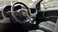 Fiat Panda Panda 1.2 Pop Bianco - thumbnail 13