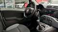 Fiat Panda Panda 1.2 Pop Bianco - thumbnail 15