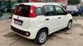 Fiat Panda Panda 1.2 Pop Bianco - thumbnail 6