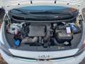Kia Picanto *AUTOMATIK*KAMERA*2xPDC*1.HAND Bianco - thumbnail 20