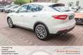 Maserati Levante Diesel 3.0 V6 202kW GRANLUSSO 4x4 Auto Weiß - thumbnail 5