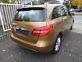 Mercedes-Benz B 200 Autom-Klimaautomatik-1.Besitz-Navi-Xenon erst 47.0 Bronze - thumbnail 5