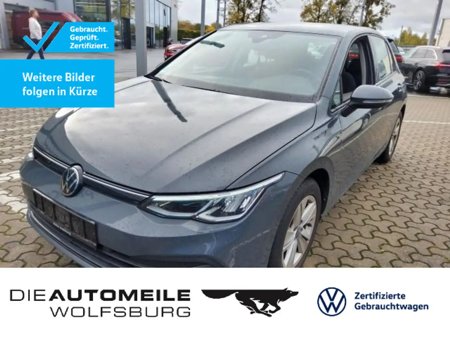 Volkswagen Golf 8 VIII 1.5 TSI Life ACC/AHK/Einparkhi Grau - 1