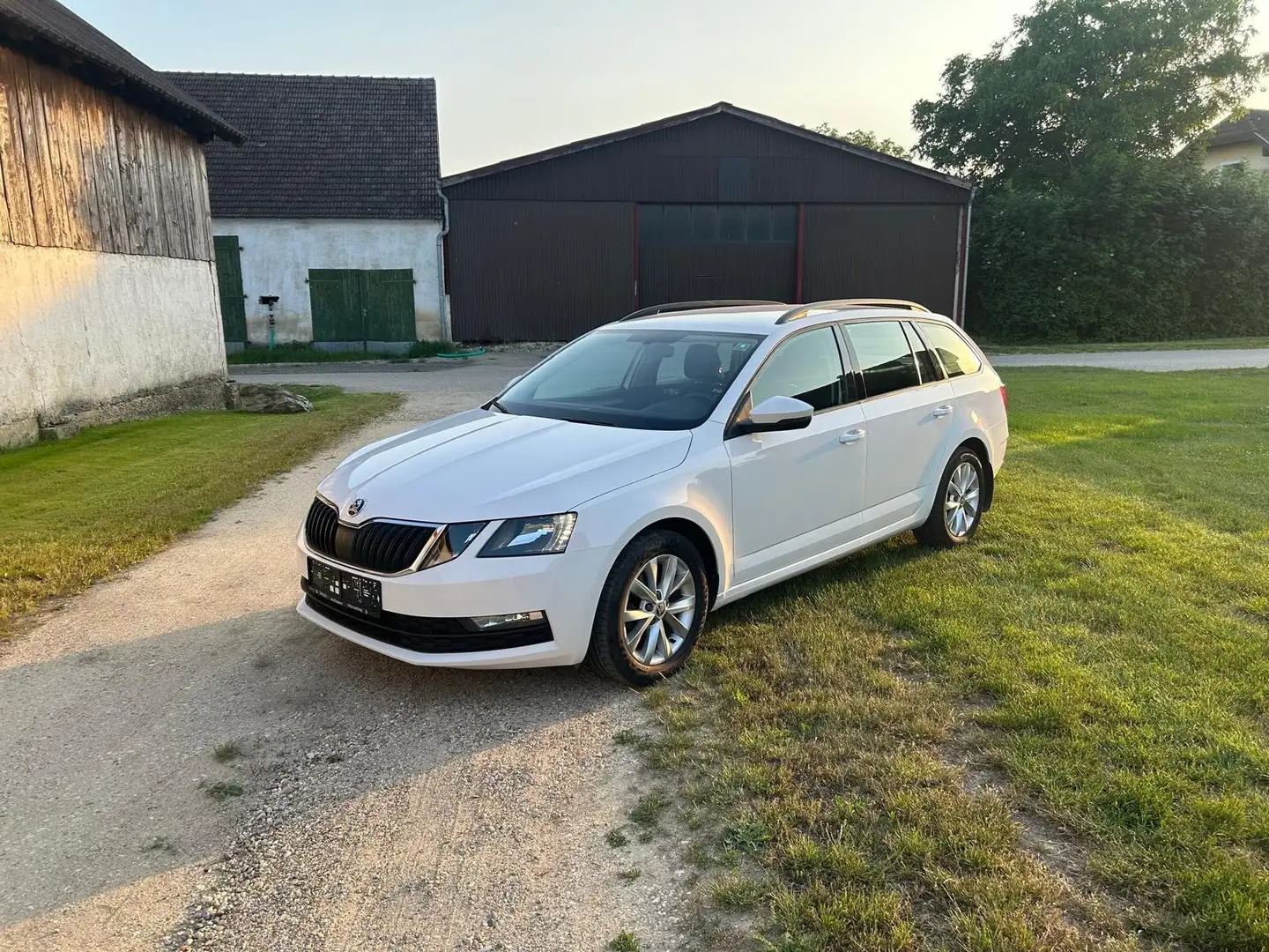 Skoda Octavia Octavia Combi 1,6 TDI Ambition Ambition Weiß - 1