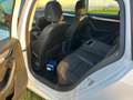 Skoda Octavia Octavia Combi 1,6 TDI Ambition Ambition Weiß - thumbnail 8