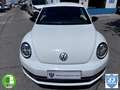 Volkswagen Beetle 2.0 TSI Sport DSG Weiß - thumbnail 42