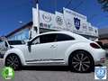 Volkswagen Beetle 2.0 TSI Sport DSG Weiß - thumbnail 47
