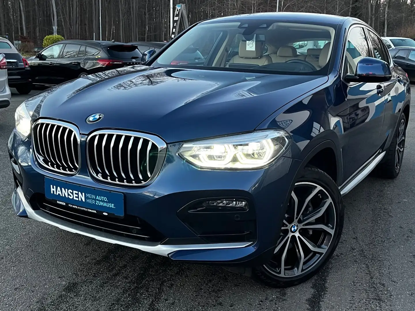 BMW X4 xDrive30d, AHK schwenkb, WKR/SKR Blau - 1