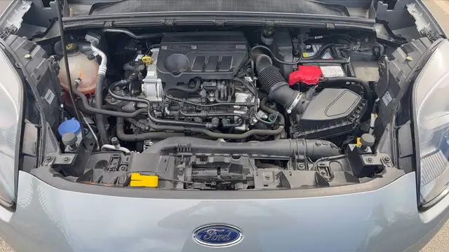 Ford Puma view 15