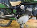 Benelli Sonstige LETIZIA Grün - thumbnail 7