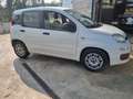 Fiat Panda 1.2 Easy Bianco - thumbnail 3