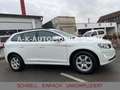 Volvo XC60 Kinetic 2WD*PANO*TEMPO*1-HAND* Weiß - thumbnail 13