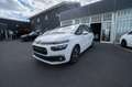 Citroen C4 1.2 PureTech 130 EU6 AUTOMATIK Weiß - thumbnail 11