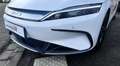 BYD Han EXECUTIVE 85 Kwh 517CH Blanco - thumbnail 25