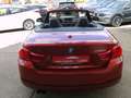 BMW 430 i Cabrio Sport Line Harman, HUD, Leder, LED Оранжевий - thumbnail 6