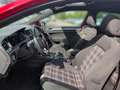 Volkswagen Golf GTI VII 2.0 TSI DSG Navi,Klima,Schiebedach,AHK Rojo - thumbnail 8