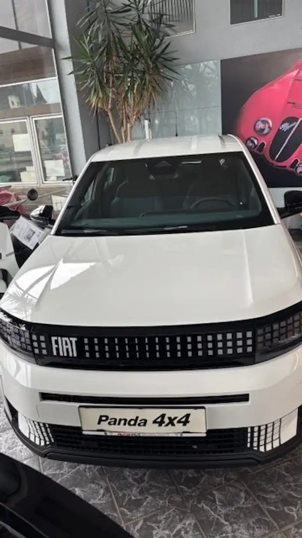 Fiat Grande Panda 1,2 Hybrid 110 PS Icon Weiß - 2