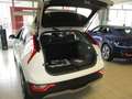 Kia Niro EV Long Range 64kWh Titan Aut. 29.000 Euro netto!! Weiß - thumbnail 7
