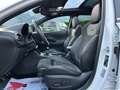 Hyundai i30 2.0 T-GDI 280 CV 5p. N Performance Bianco - thumbnail 13