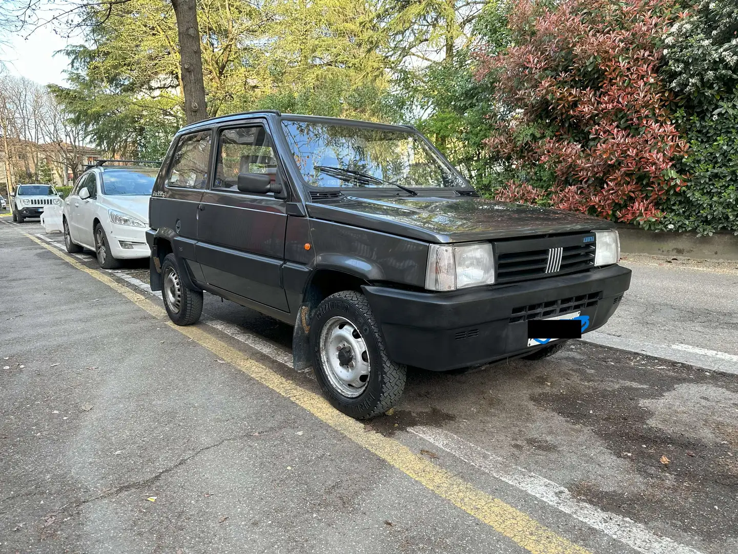 Fiat Panda Panda 1.1 Trekking 4x4 Szürke - 2