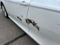 Toyota Camry Hybrid Executive Bianco - thumbnail 10