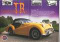 Triumph TR3 Bocca larga Gelb - thumbnail 6