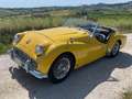 Triumph TR3 Bocca larga Gelb - thumbnail 5