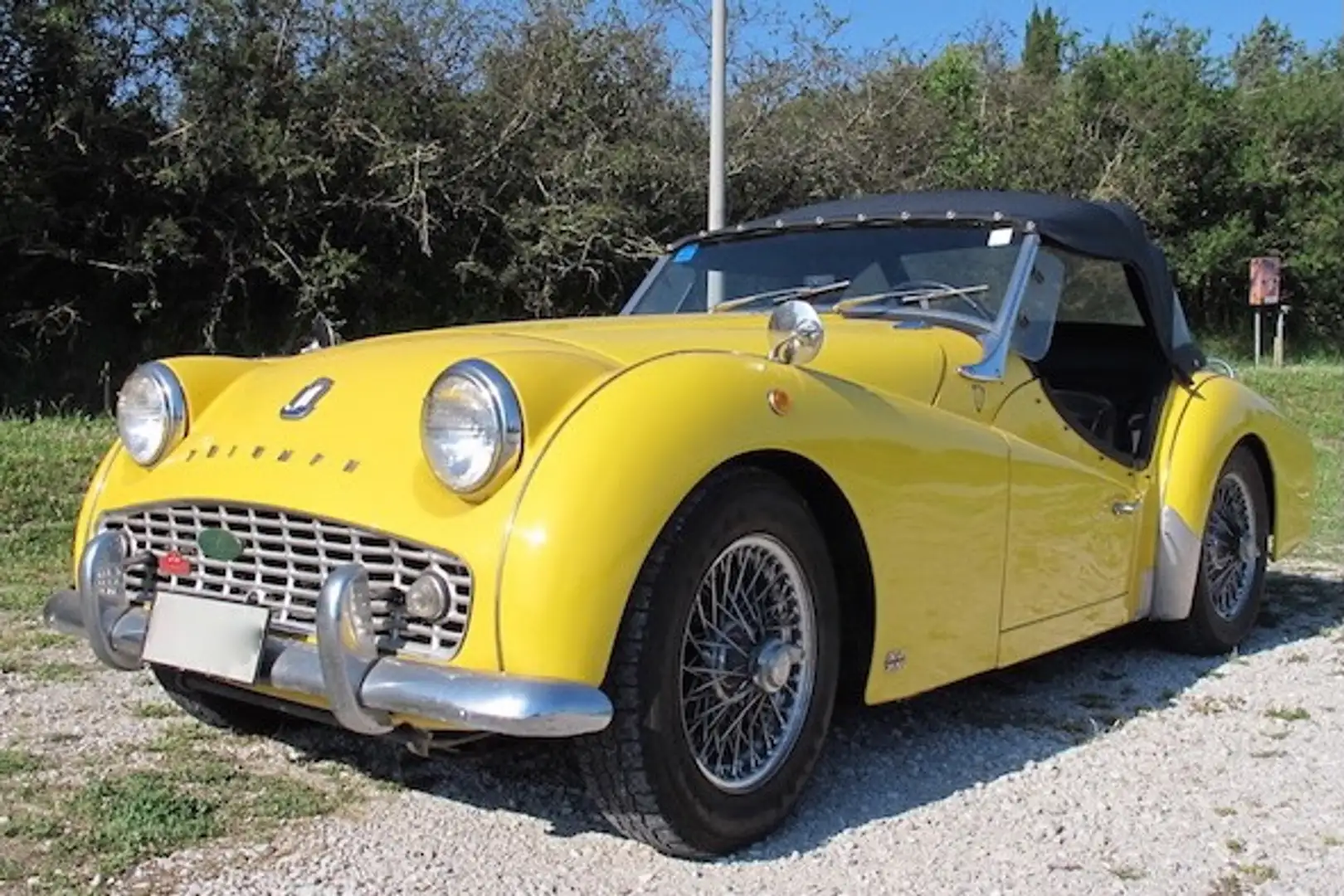 Triumph TR3 Bocca larga Gelb - 2