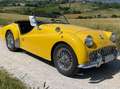 Triumph TR3 Bocca larga Gelb - thumbnail 8