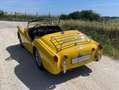 Triumph TR3 Bocca larga Gelb - thumbnail 4