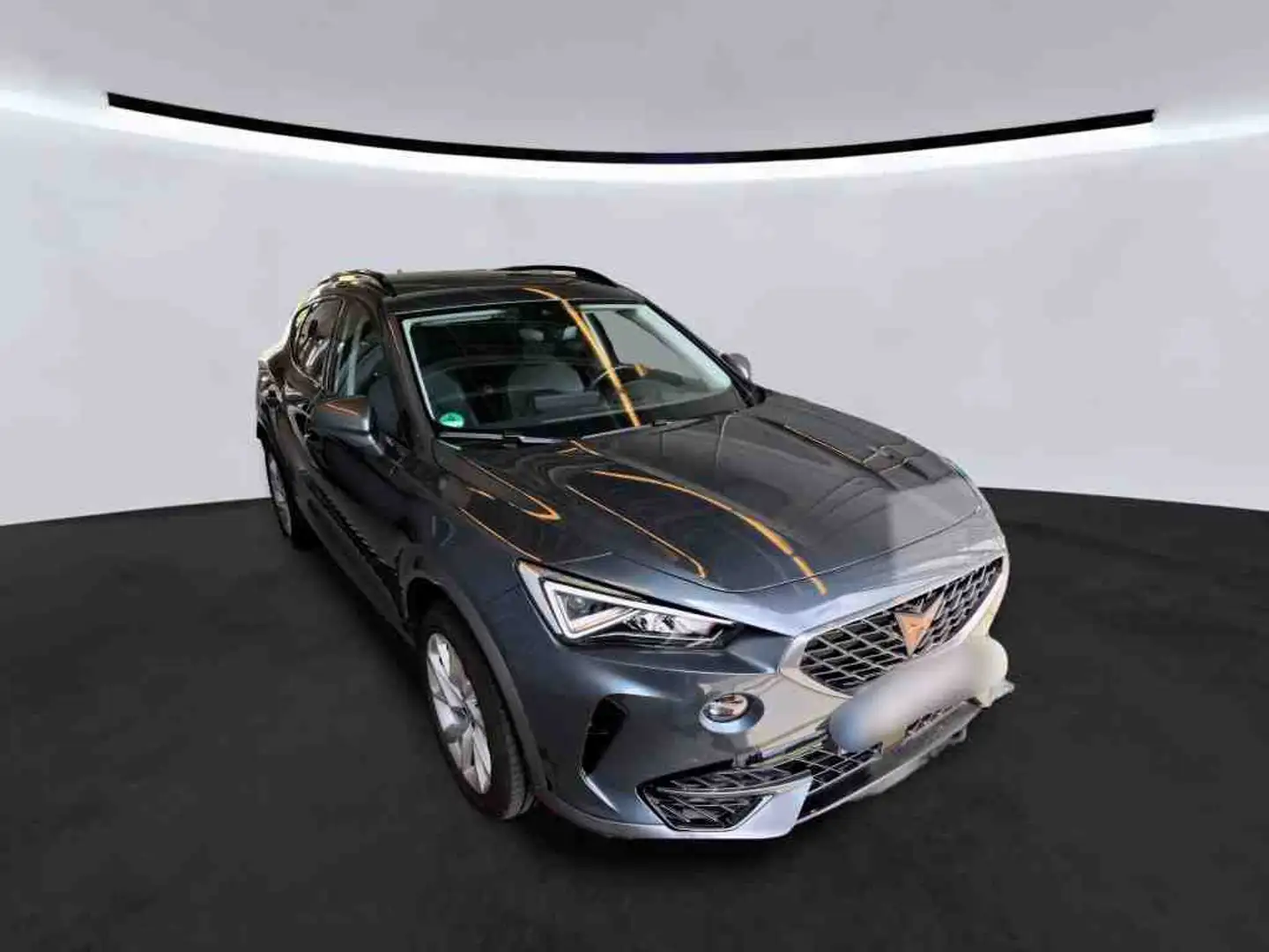 CUPRA Formentor 1.5 TSI DSG AHK LED PDC elektr. Heckklappe AHK ACC Grau - 2