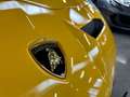 Lamborghini Aventador SVJ - FULL PPF - Uff. italiana - IVA esposta Giallo - thumbnail 22