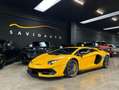 Lamborghini Aventador SVJ - FULL PPF - Uff. italiana - IVA esposta Giallo - thumbnail 1