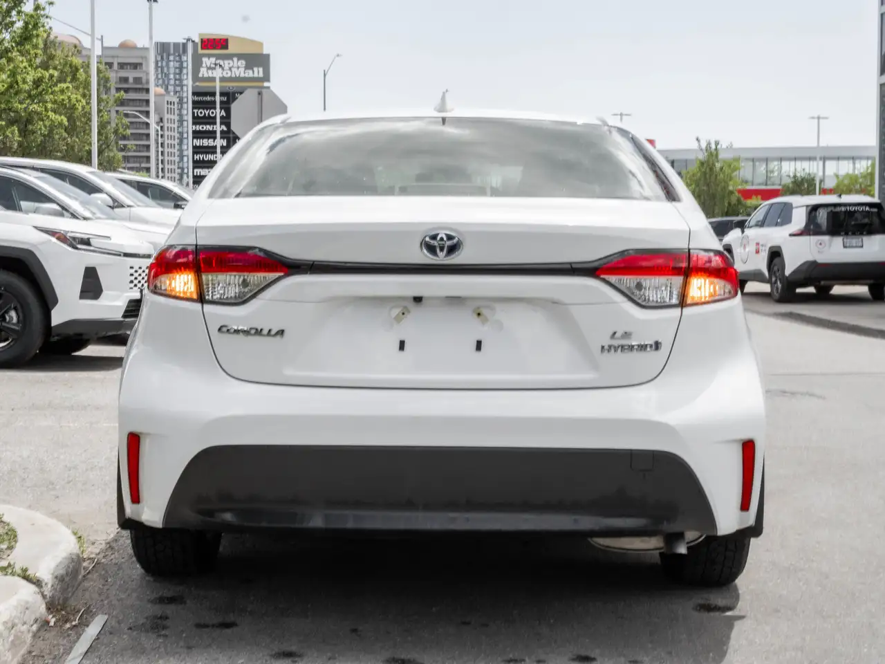 Toyota Corolla снимка Toyota Corolla