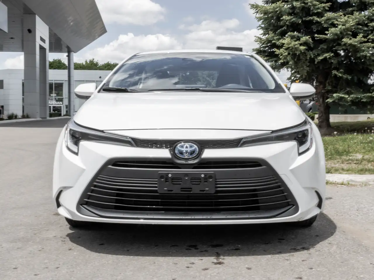Toyota Corolla снимка Toyota Corolla