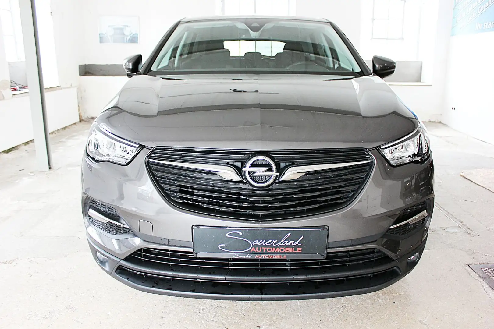 Opel Grandland X NAVI Design-Paket SHZ 18" ALU PDC Grau - 2