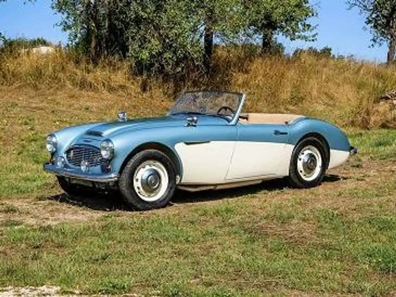 Austin Healey
