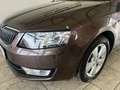 Skoda Octavia 1.2 TSi Elegance +SHZ +PDC +Klimaautomatik Brun - thumbnail 15